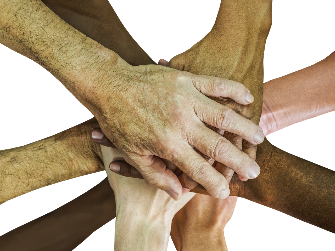 铁塔猫烟花葡萄珠(细):海南海口代理注册公司注册