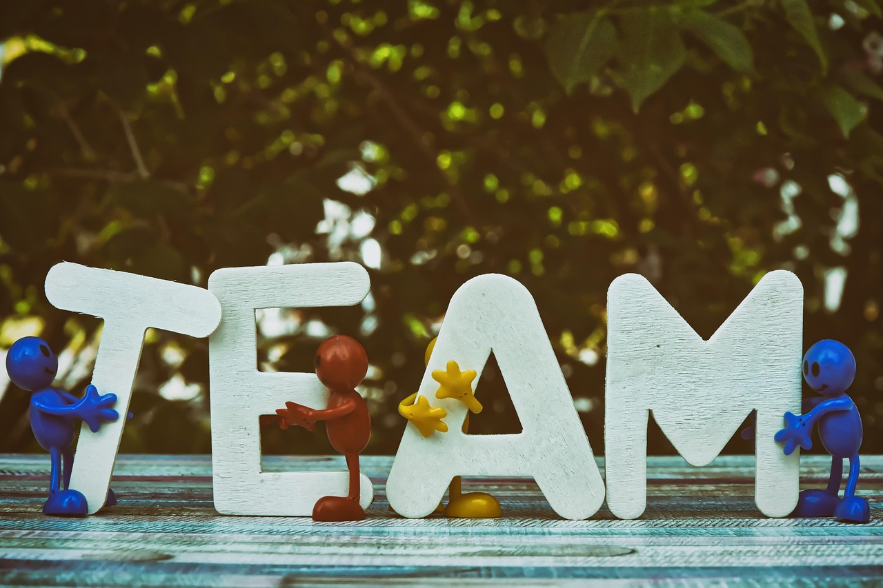 铁塔猫蛋黄双爆珠（细）：注册装修公司代理流程详细