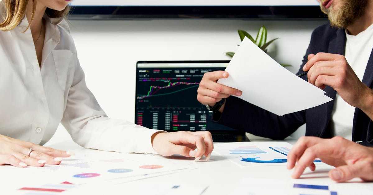 梦幻新诛仙辅助- 鱼塘平台代理