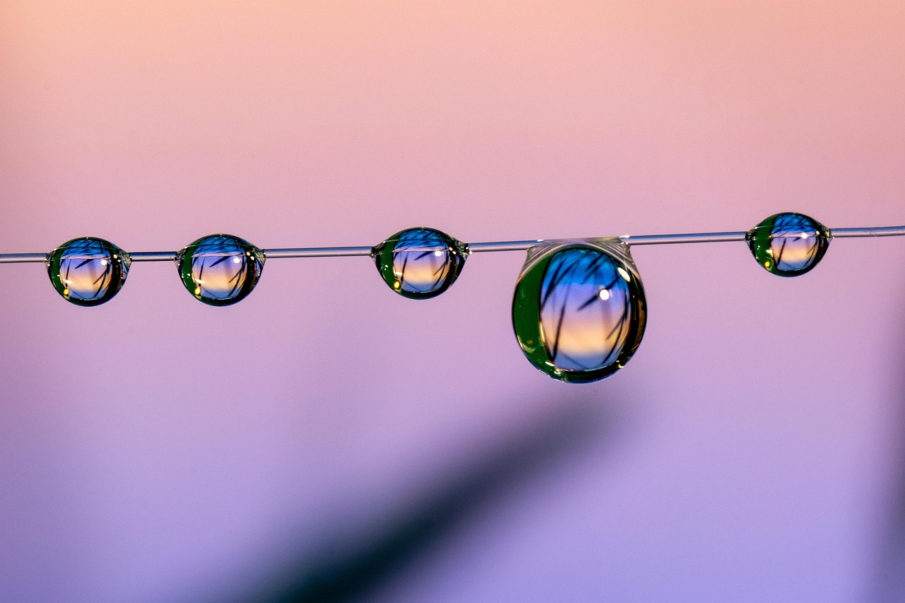 衡天云实名账号：江西书画交易平台代理加盟