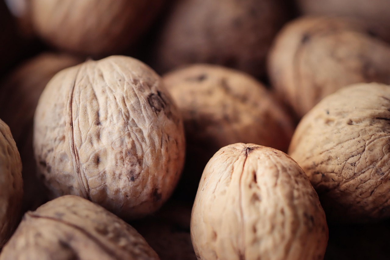 时空召唤：lv购买正规平台