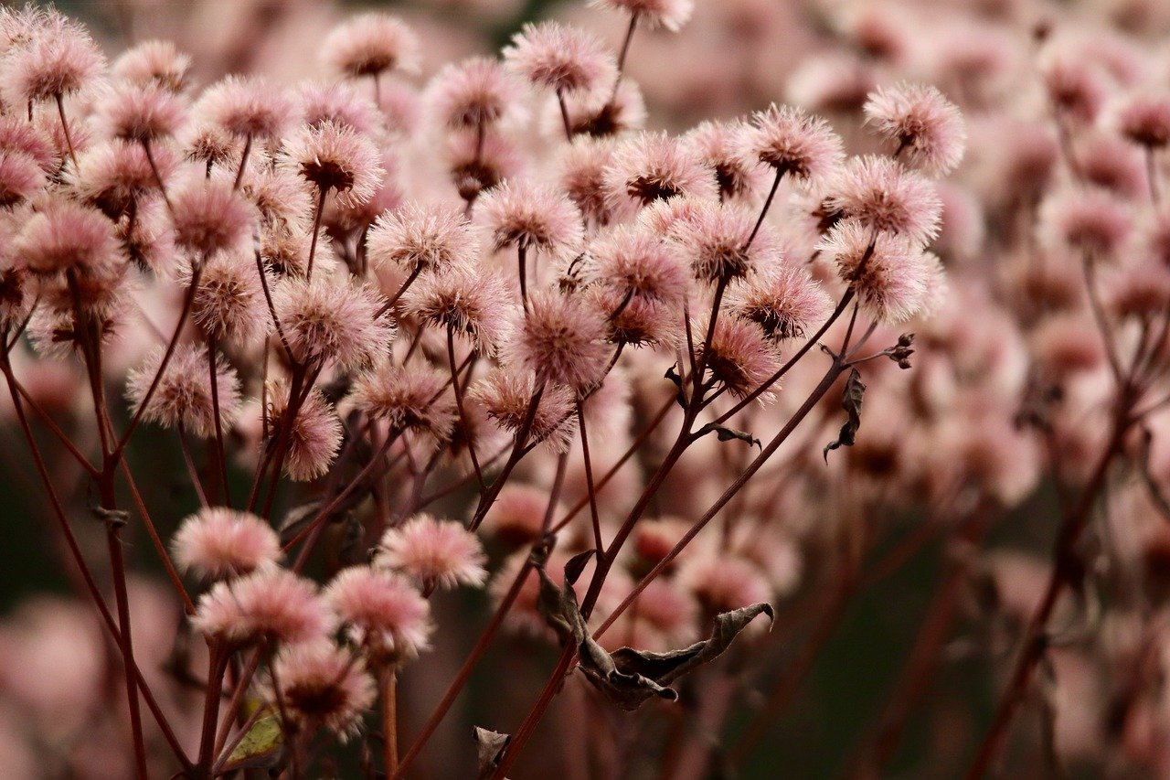 魔方云实名账号:仙居注册代理记账标准