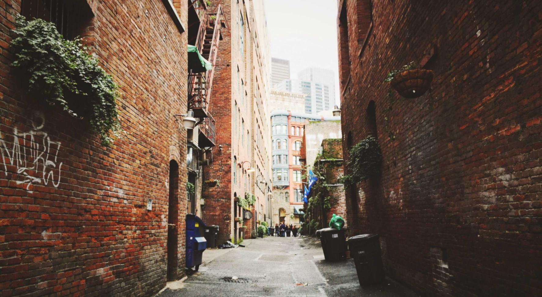 vx号出售:乳山新振华在线购买平台