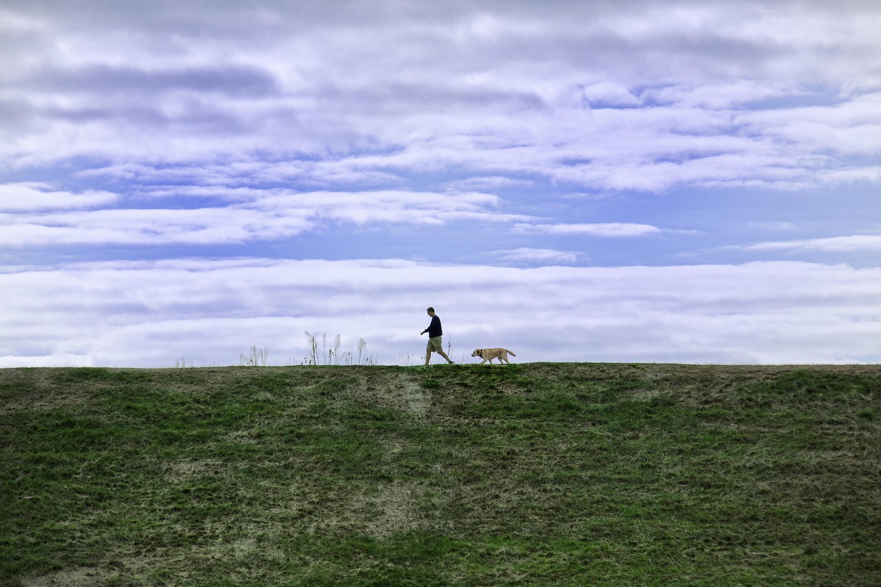 极信通信实名账号:神州租车app详情下载教程