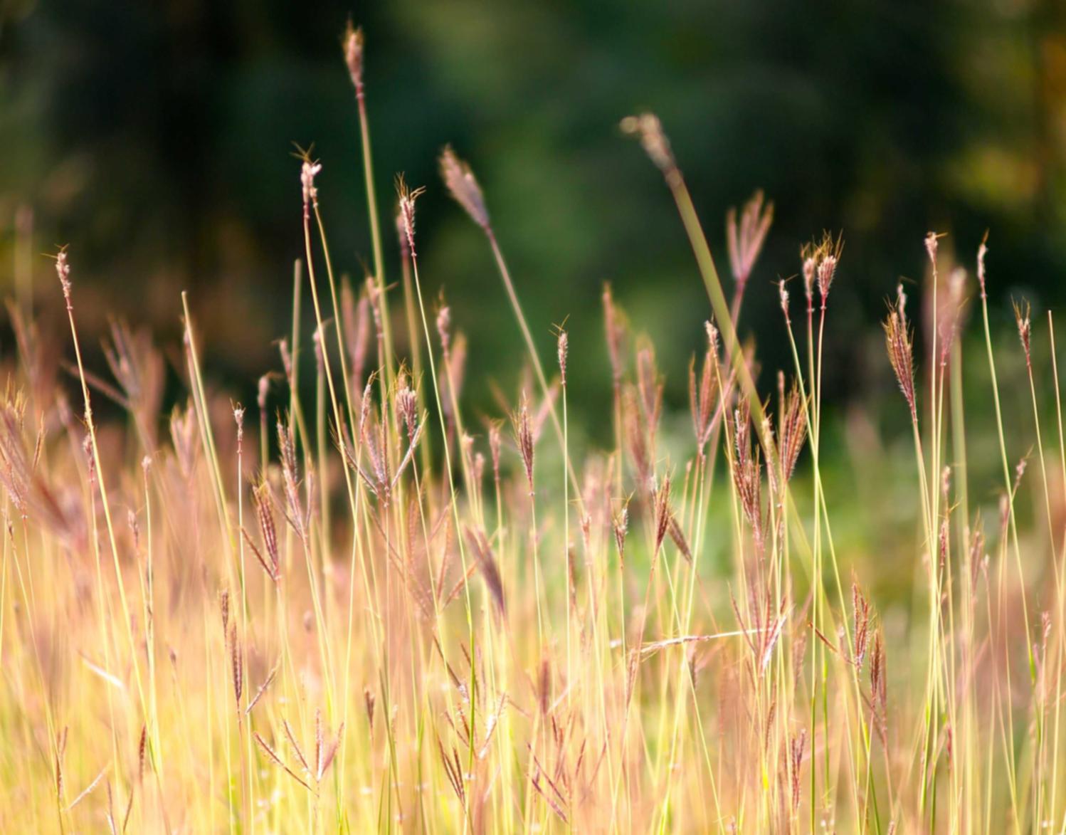 魔渊之刃:盈客云测试账号注册