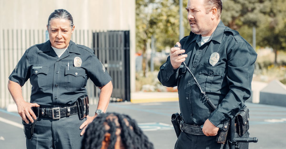 昆明书画平台代理加盟