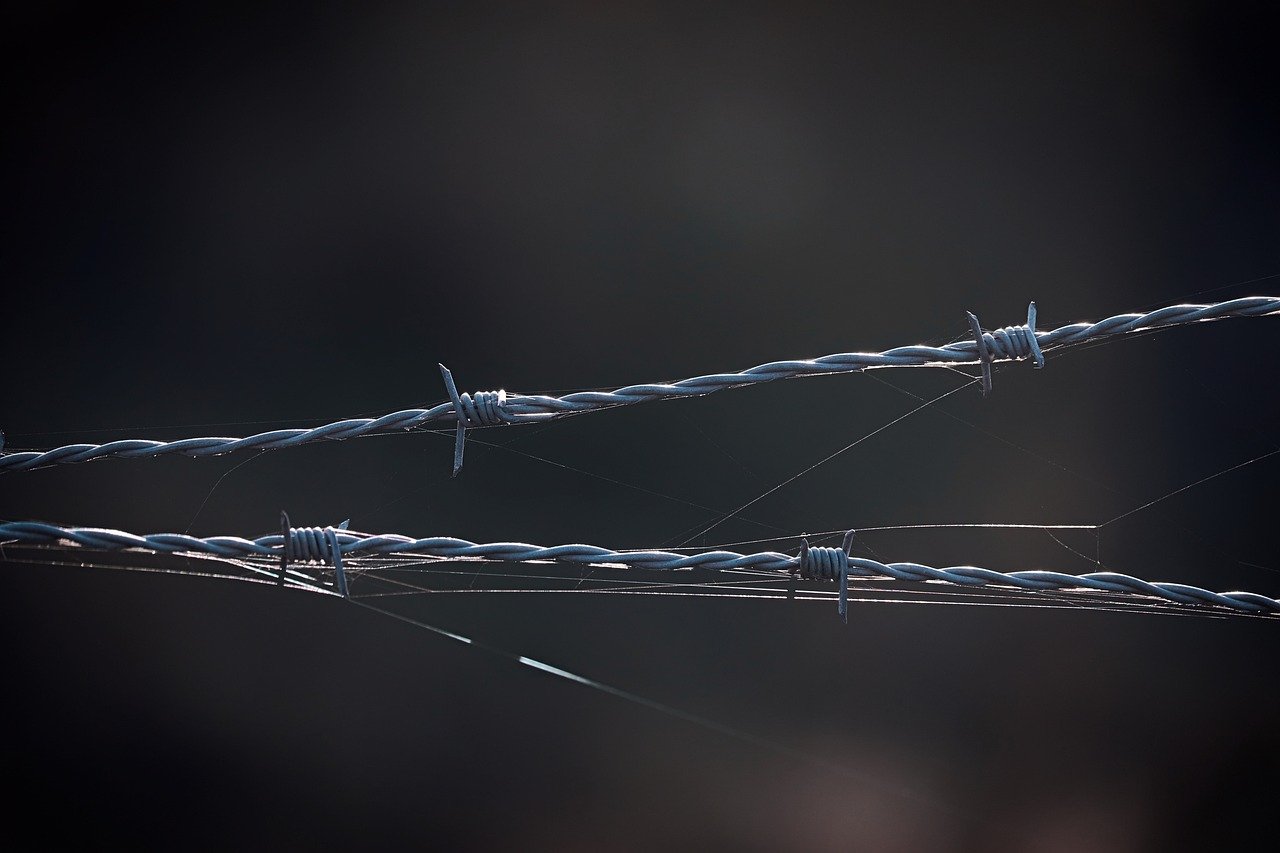 红豆电信实名账号:淘宝手机怎么注册账号