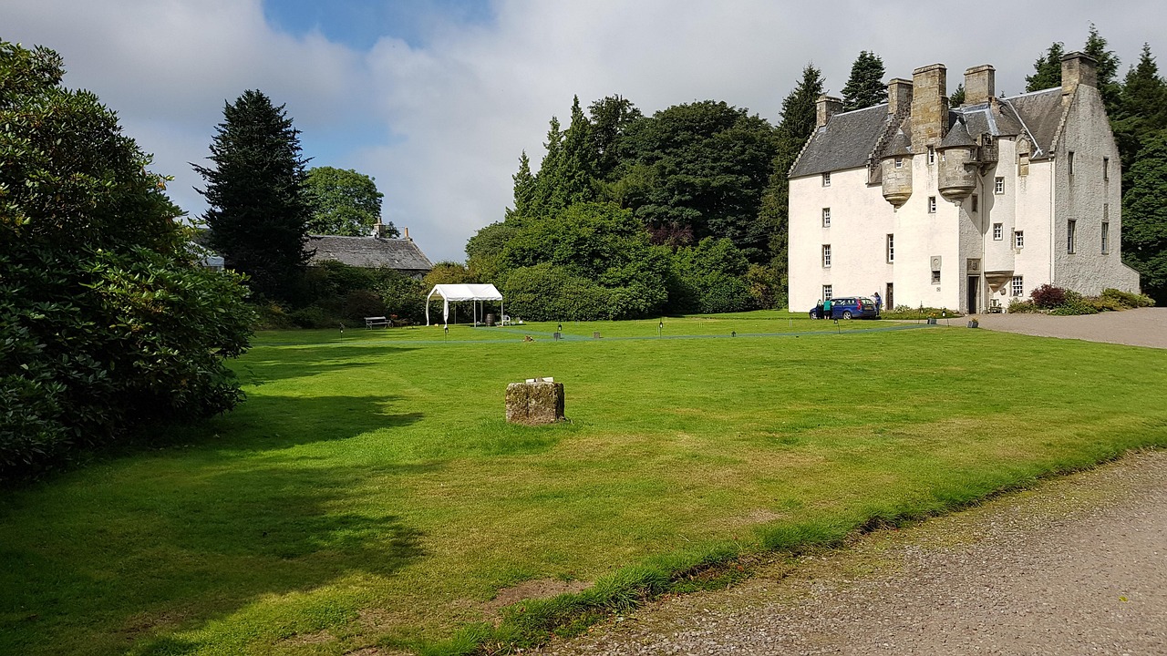 vx买卖：龙虎和代理平台